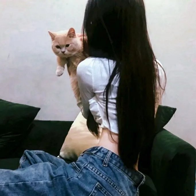 黑色大理花悬案 在线观看